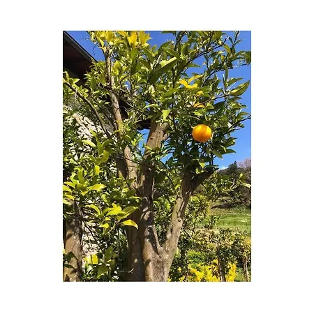 아파트 Ozamiz Urdaibai Gautegiz Arteaga